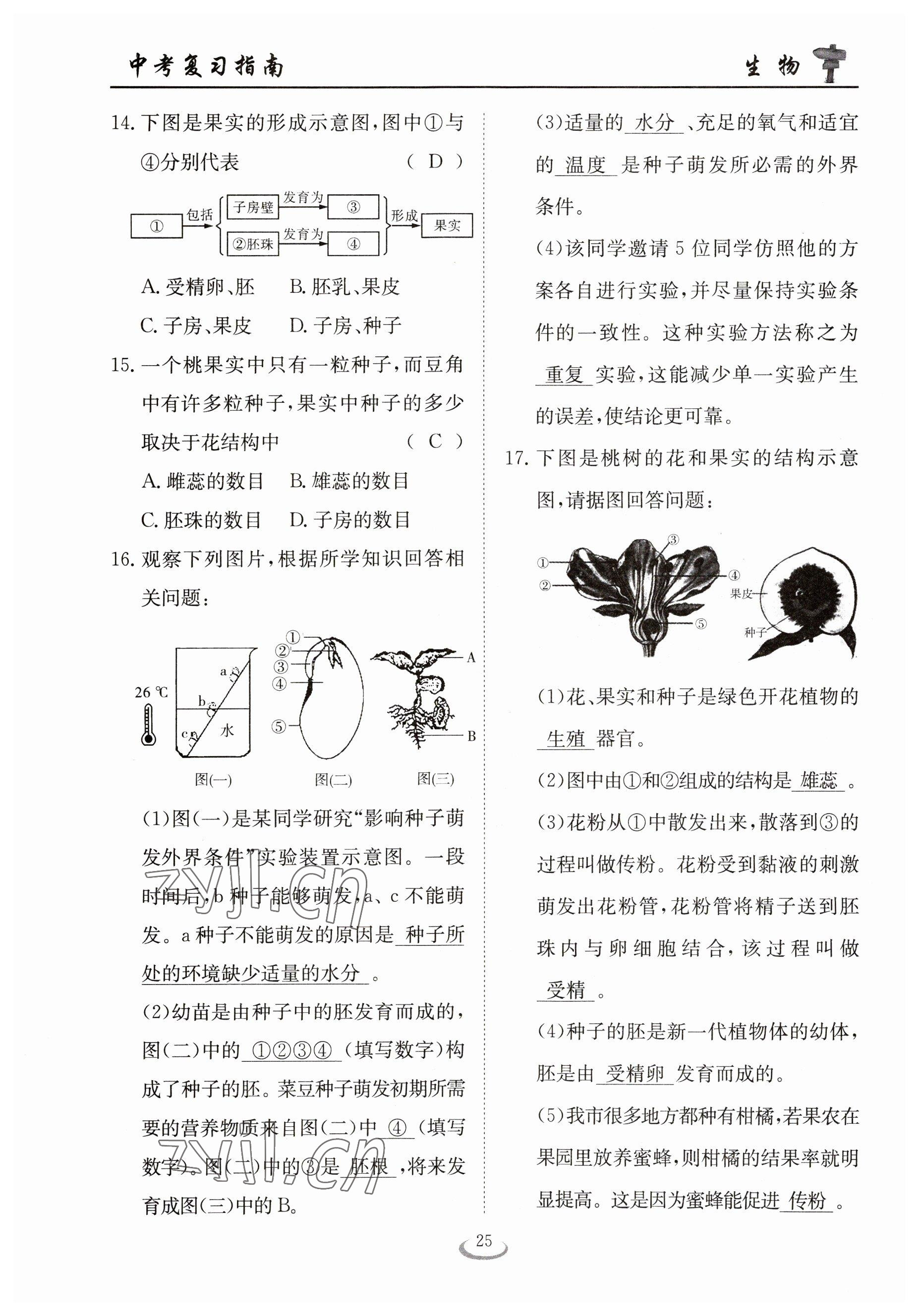 2023年中考復(fù)習(xí)指南長(zhǎng)江少年兒童出版社生物十堰專(zhuān)版 參考答案第25頁(yè)