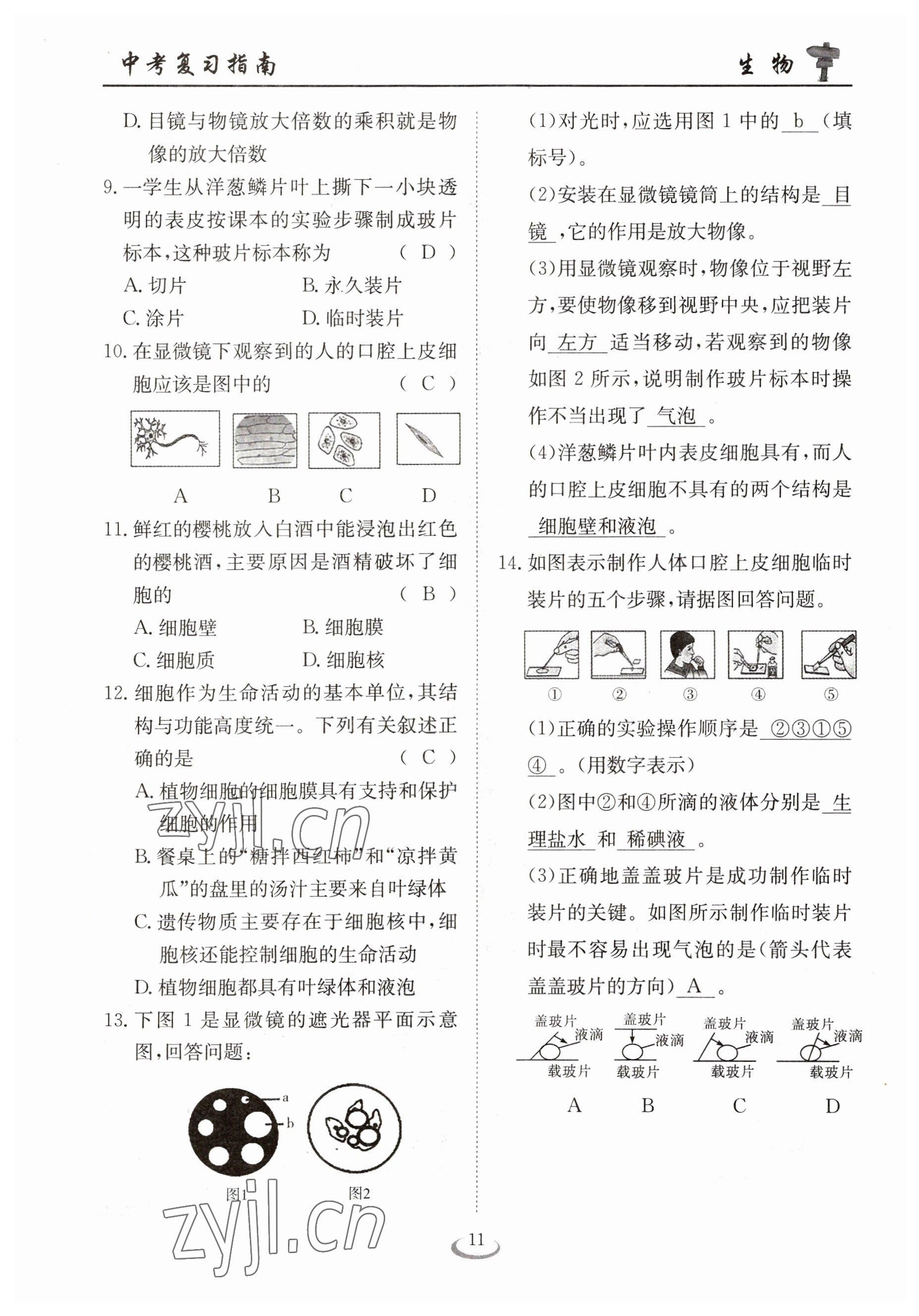 2023年中考復(fù)習(xí)指南長(zhǎng)江少年兒童出版社生物十堰專版 參考答案第11頁