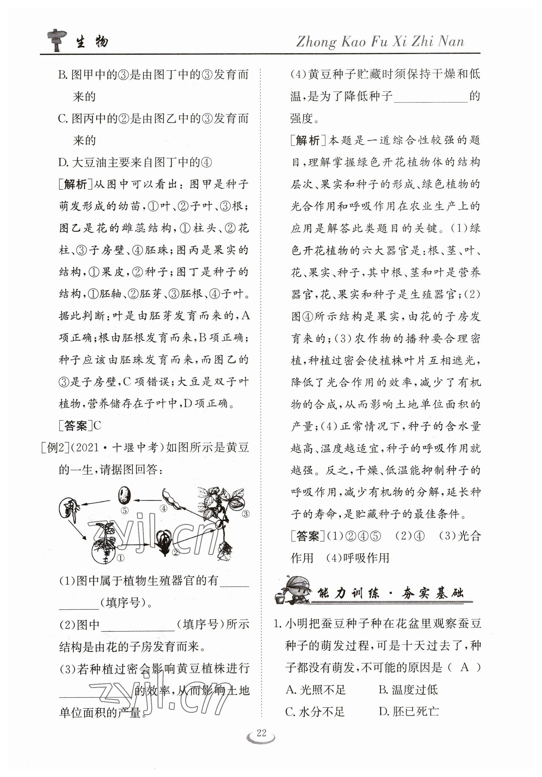 2023年中考復(fù)習指南長江少年兒童出版社生物十堰專版 參考答案第22頁