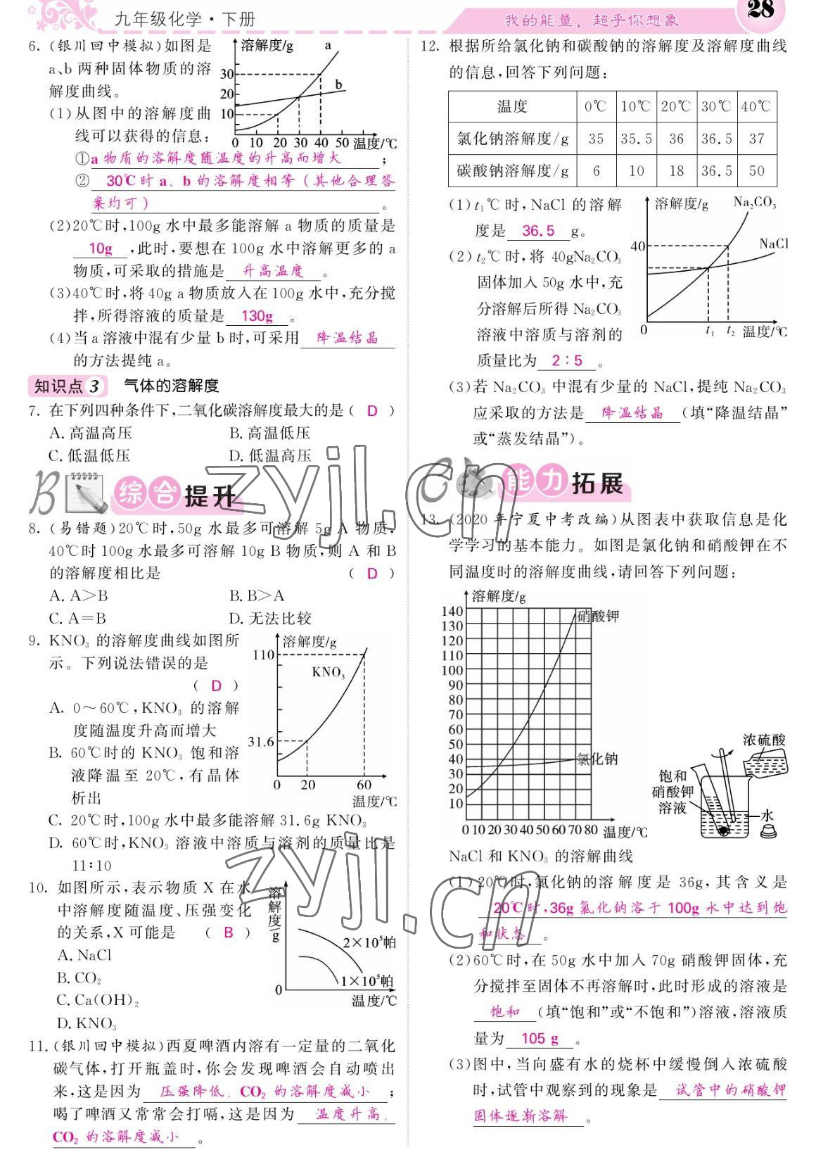 2023年課堂點睛九年級化學下冊人教版寧夏專版 參考答案第28頁