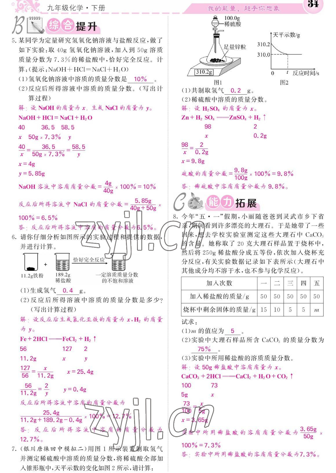 2023年課堂點(diǎn)睛九年級化學(xué)下冊人教版寧夏專版 參考答案第34頁