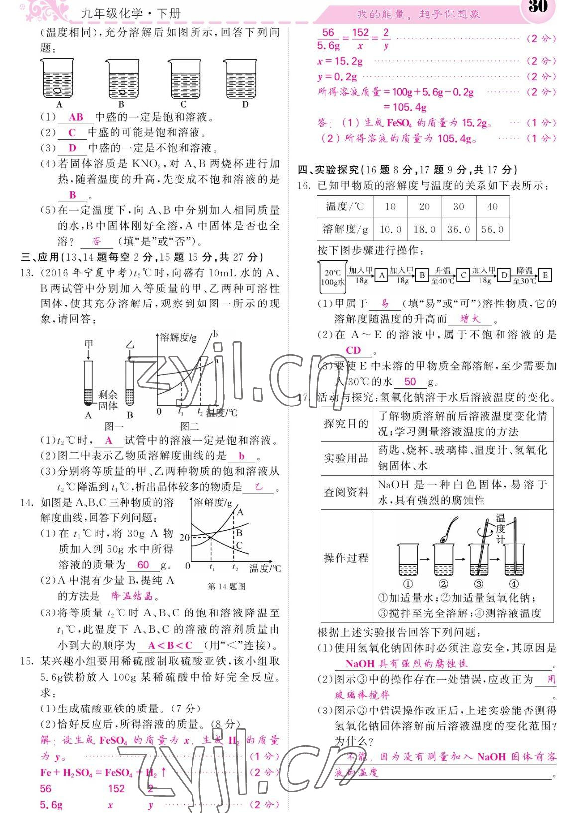 2023年課堂點(diǎn)睛九年級(jí)化學(xué)下冊人教版寧夏專版 參考答案第30頁