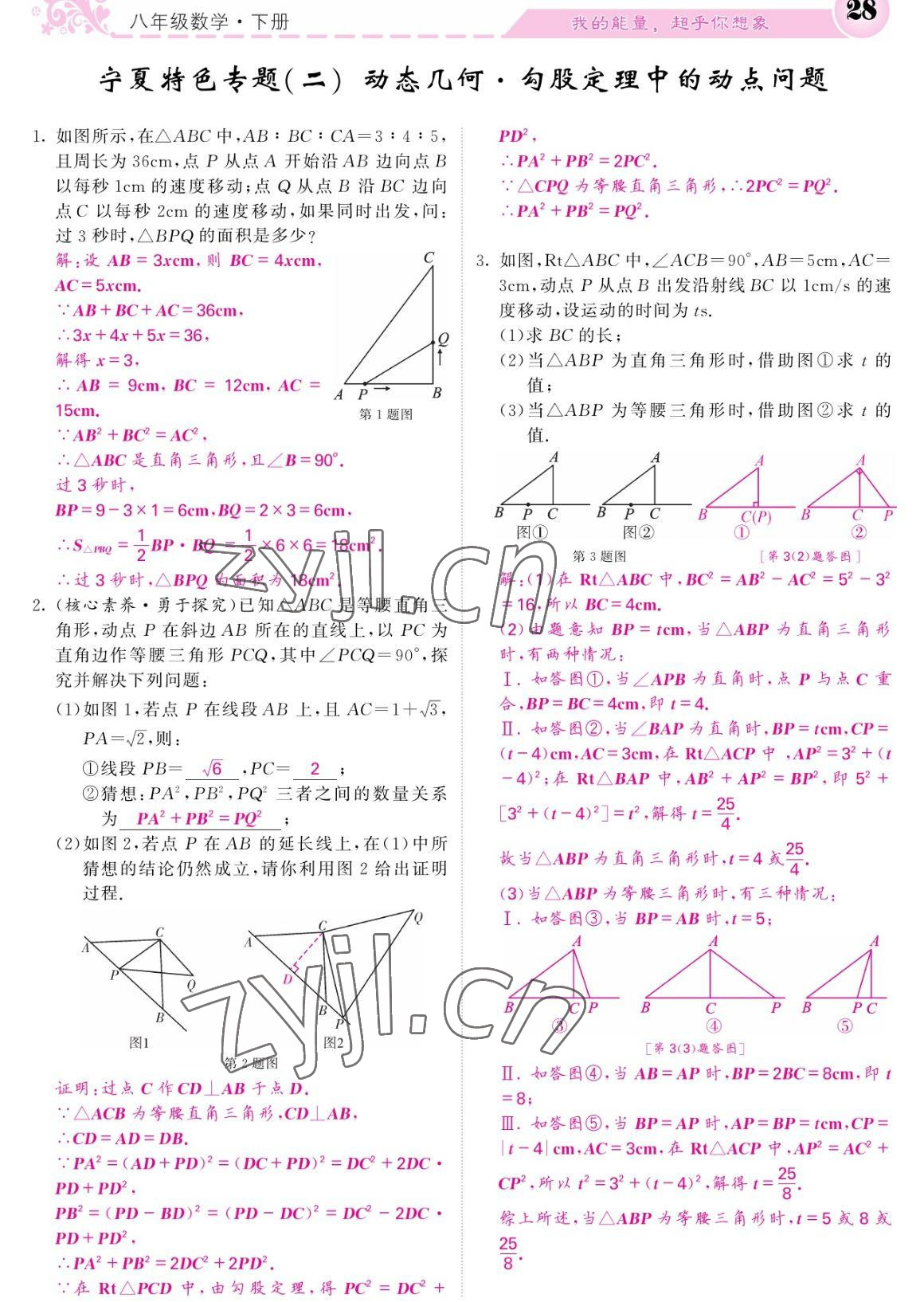 2023年课堂点睛八年级数学下册人教版宁夏专版 参考答案第28页