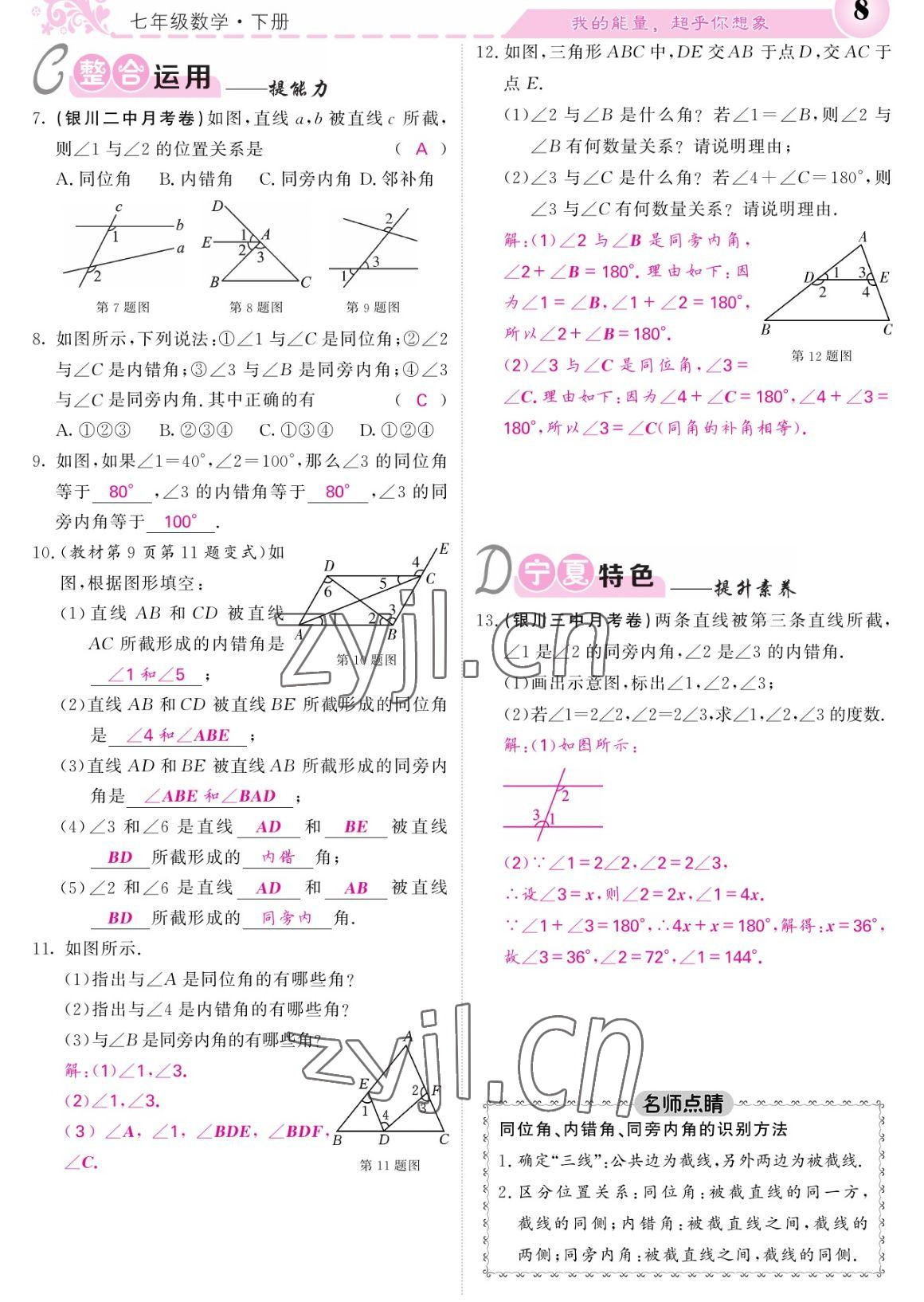 2023年课堂点睛七年级数学下册人教版宁夏专版 参考答案第8页