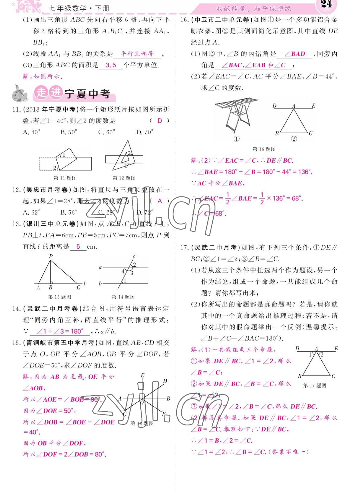 2023年課堂點(diǎn)睛七年級(jí)數(shù)學(xué)下冊(cè)人教版寧夏專版 參考答案第24頁(yè)