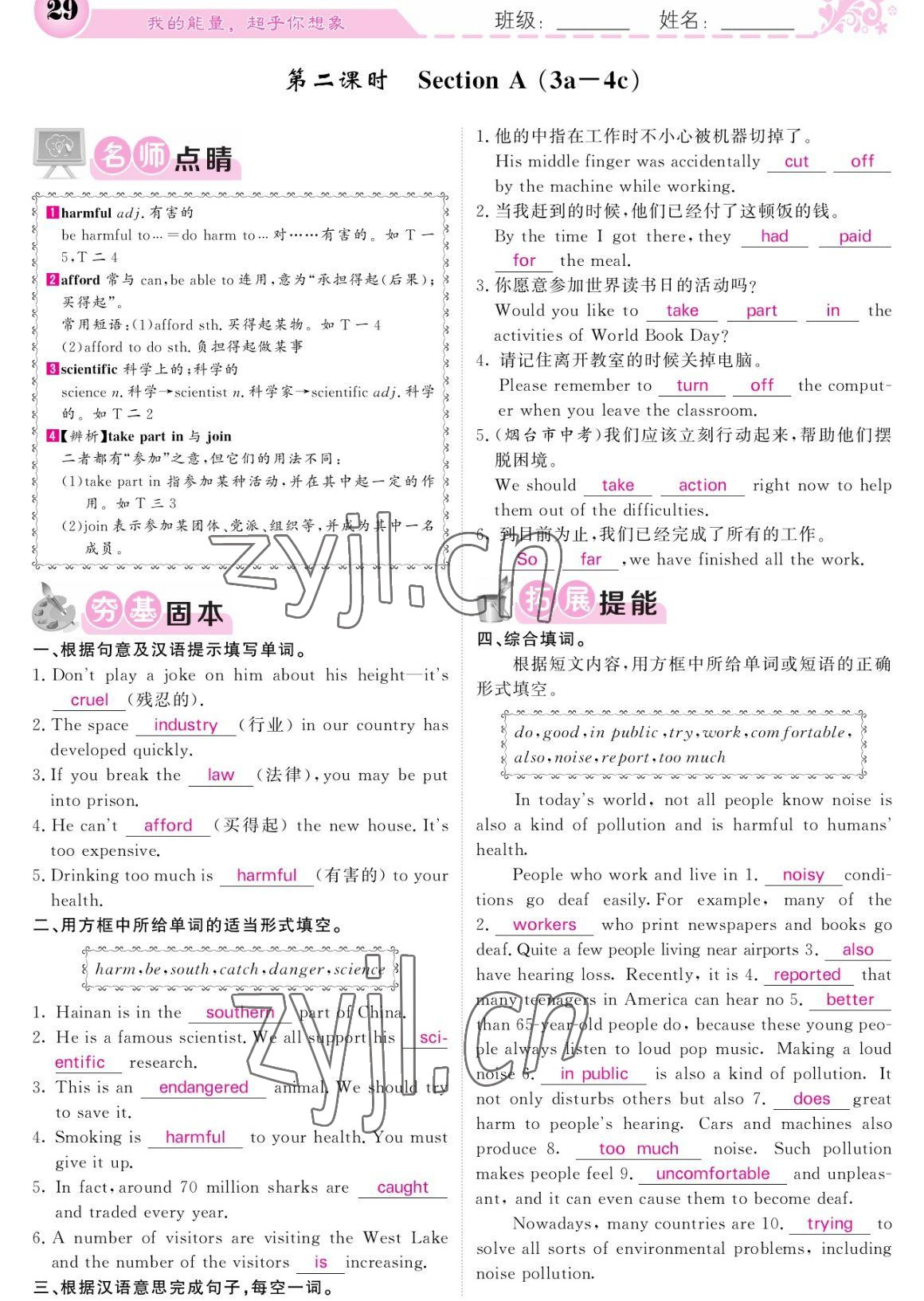 2023年課堂點(diǎn)睛九年級(jí)英語下冊(cè)人教版寧夏專版 參考答案第29頁