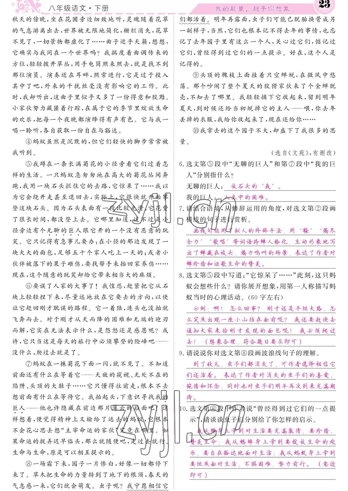 2023年課堂點睛八年級語文下冊人教版寧夏專版 參考答案第23頁