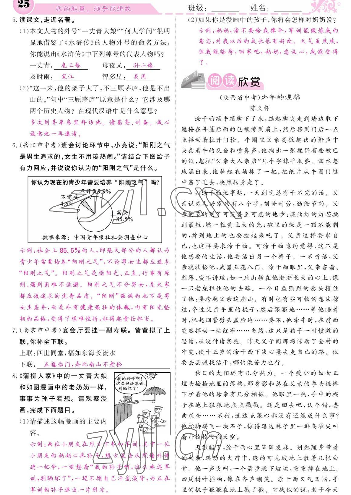 2023年課堂點(diǎn)睛九年級語文下冊人教版寧夏專版 參考答案第25頁