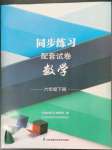 2023年同步练习配套试卷六年级数学下册苏教版