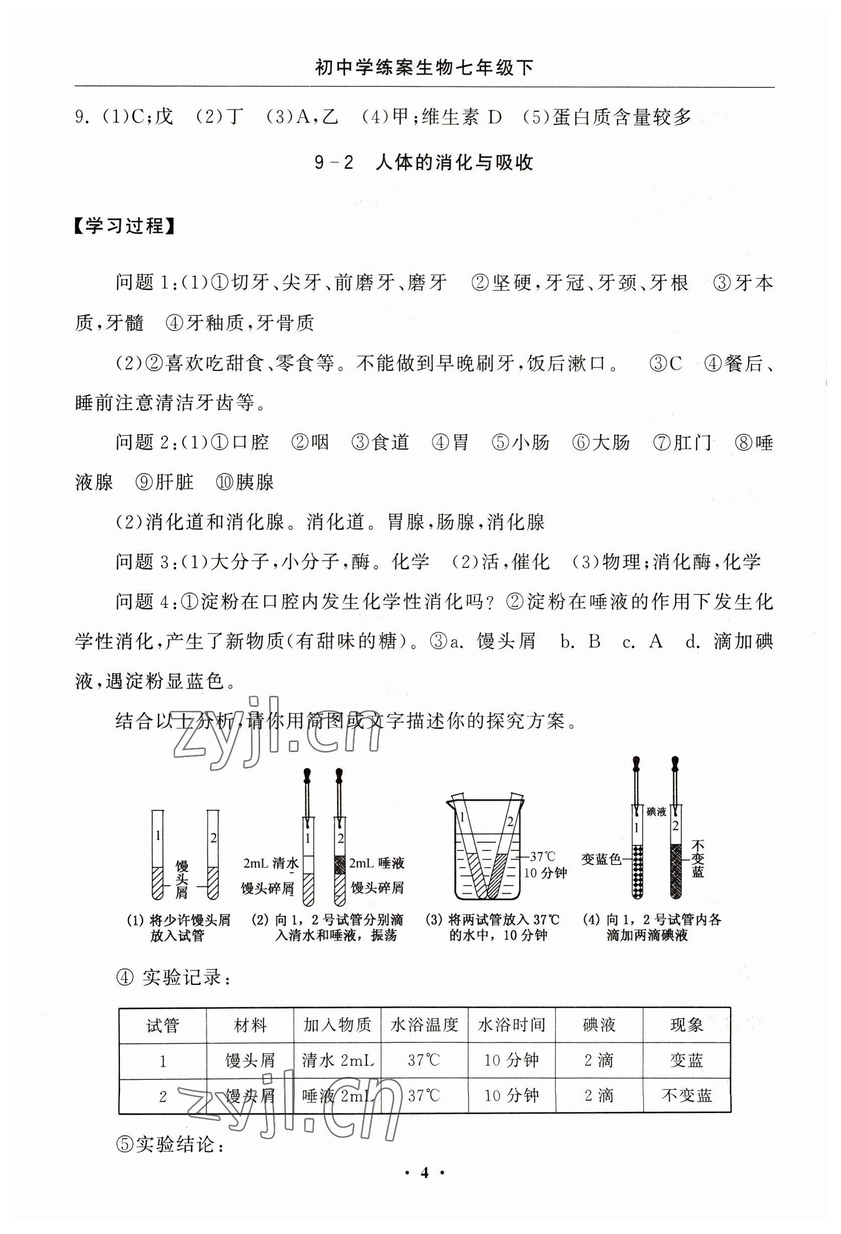 2023年初中學(xué)練案七年級(jí)生物下冊(cè)蘇教版 參考答案第4頁(yè)