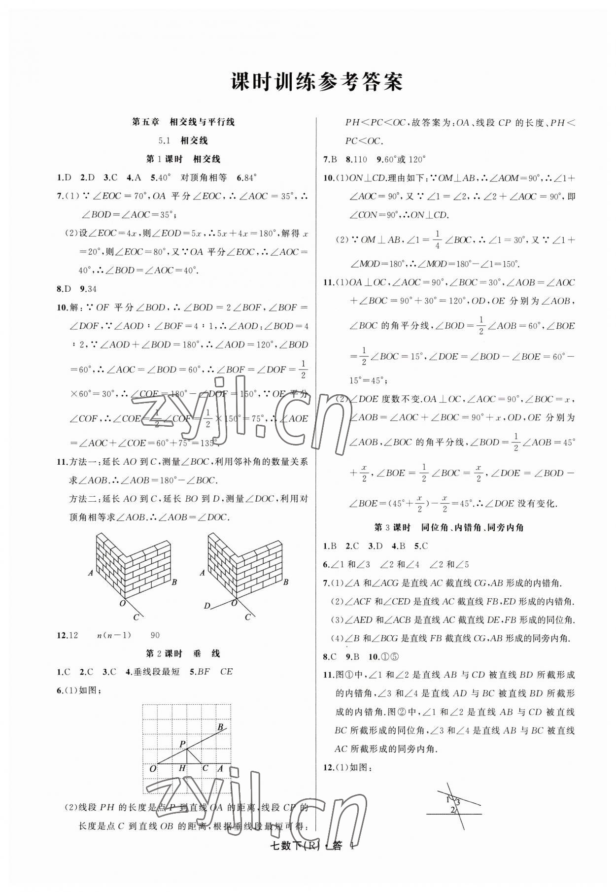 2023年名師面對面滿分特訓(xùn)方案七年級數(shù)學(xué)下冊人教版臺州專版 參考答案第1頁