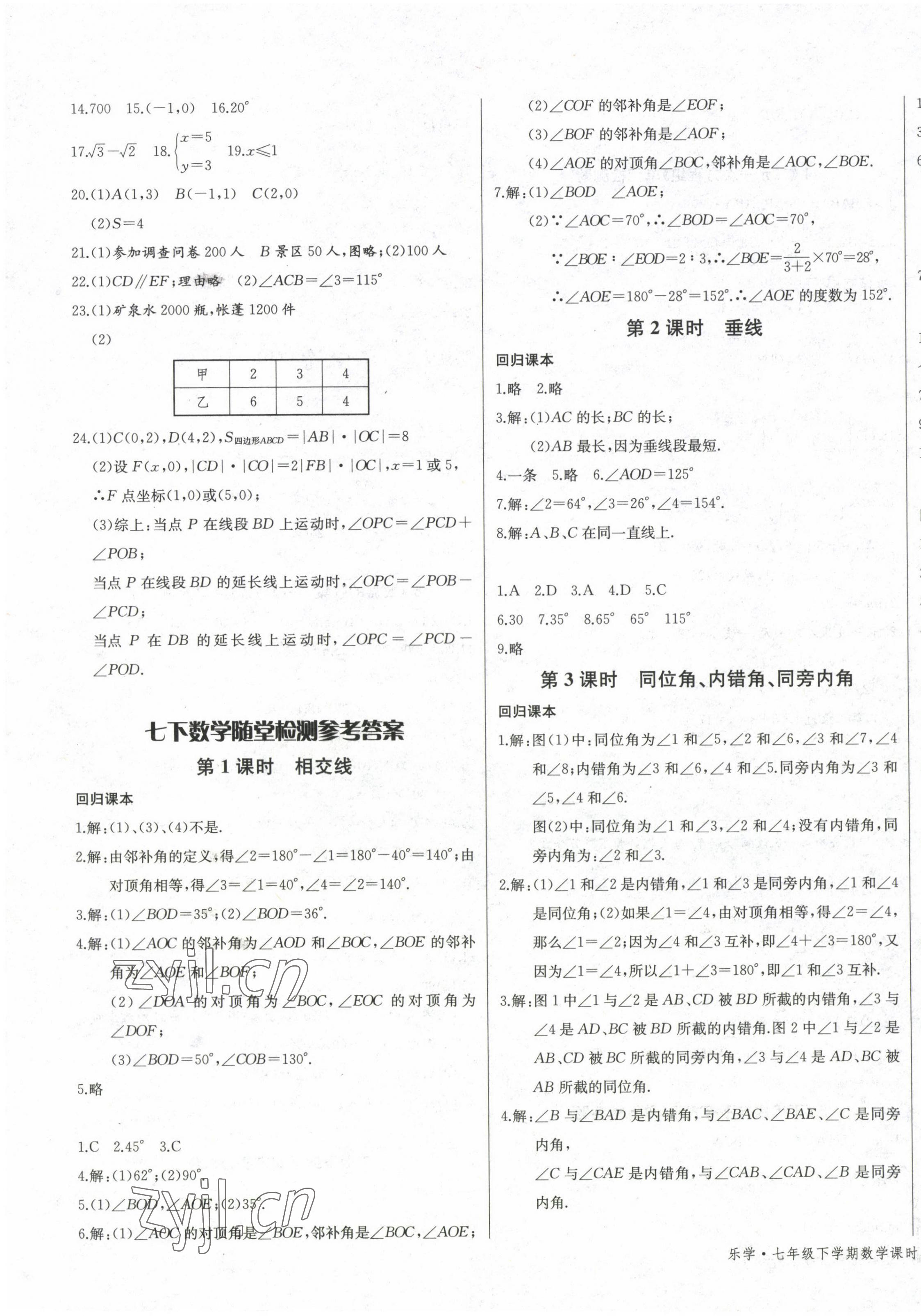 2023年樂學(xué)課堂課時學(xué)講練七年級數(shù)學(xué)下冊人教版 第3頁