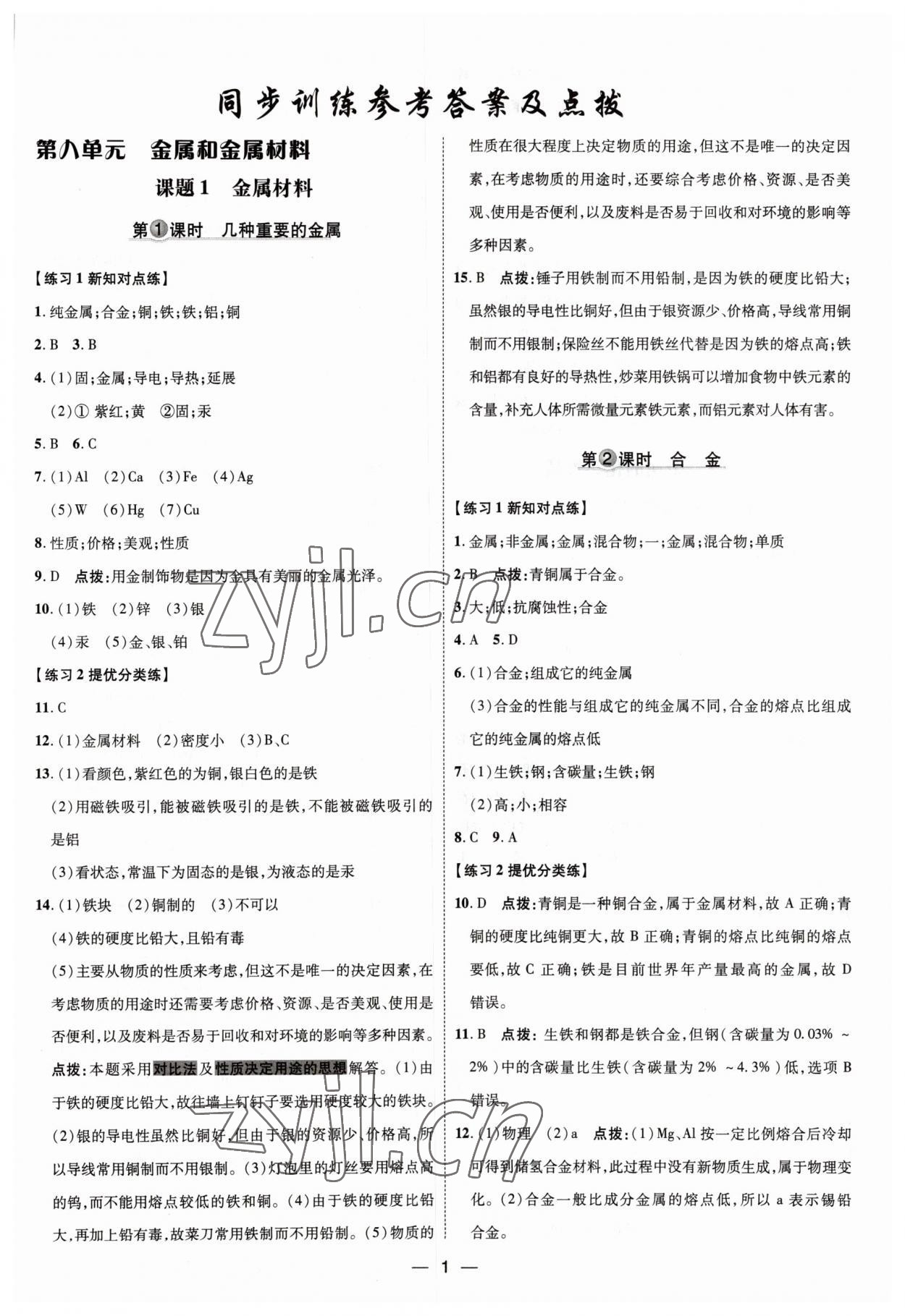 2023年點撥訓練九年級化學下冊人教版 參考答案第1頁