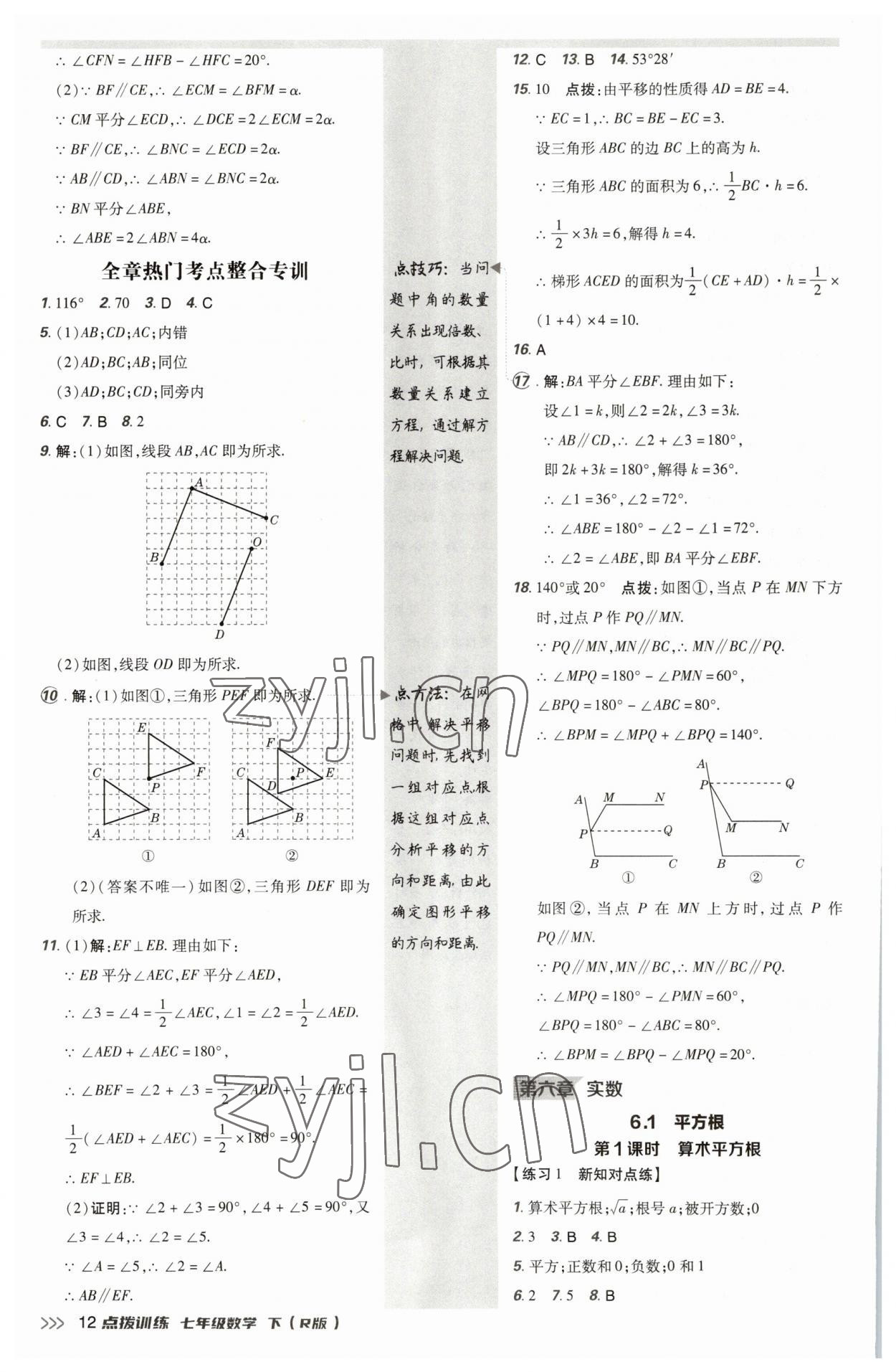 2023年點撥訓(xùn)練七年級數(shù)學(xué)下冊人教版 參考答案第11頁