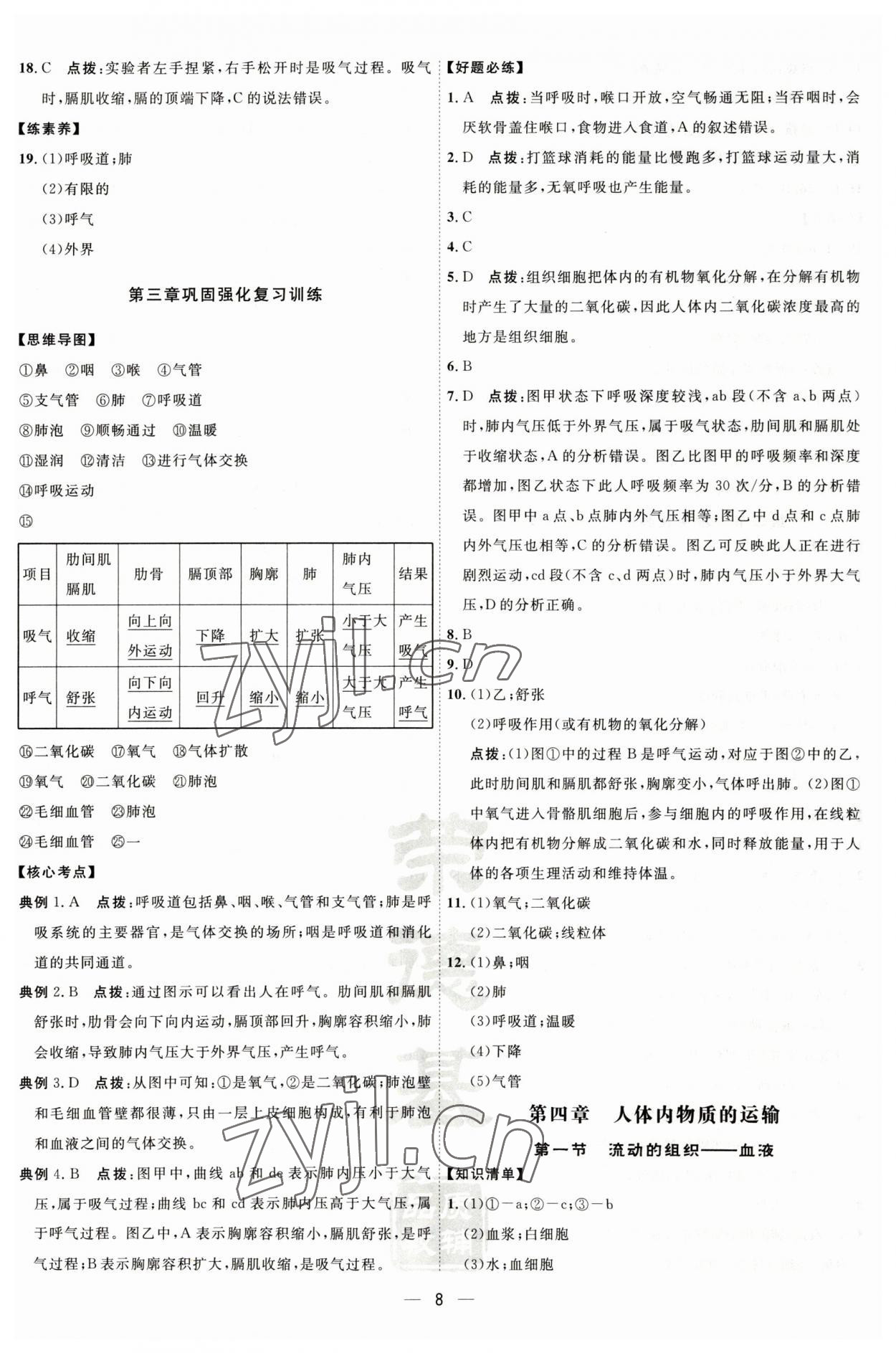 2023年点拨训练七年级生物下册人教版 参考答案第8页