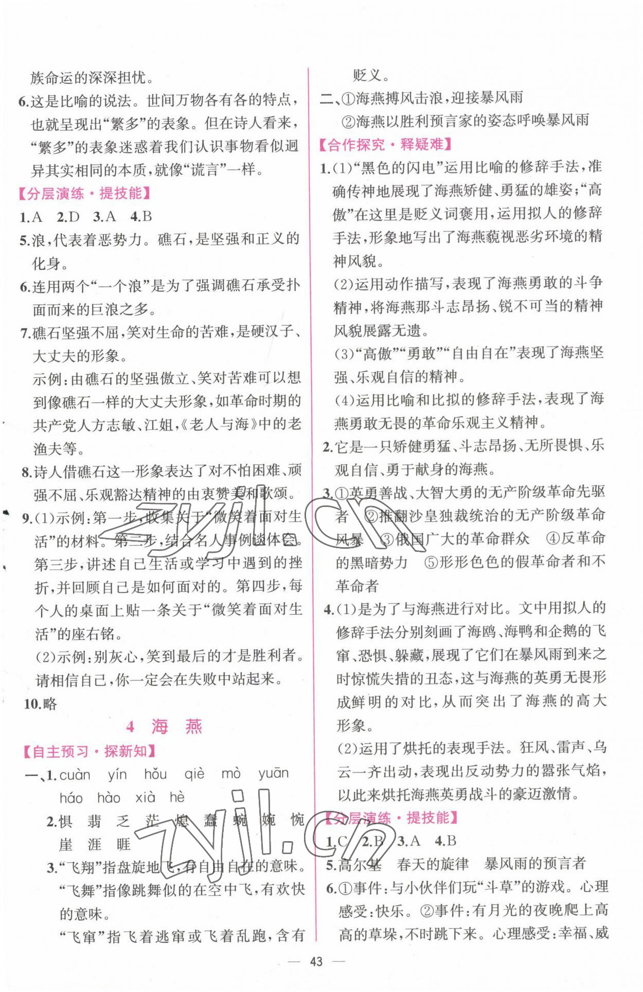 2023年同步導(dǎo)學(xué)案課時練九年級語文下冊人教版 第3頁