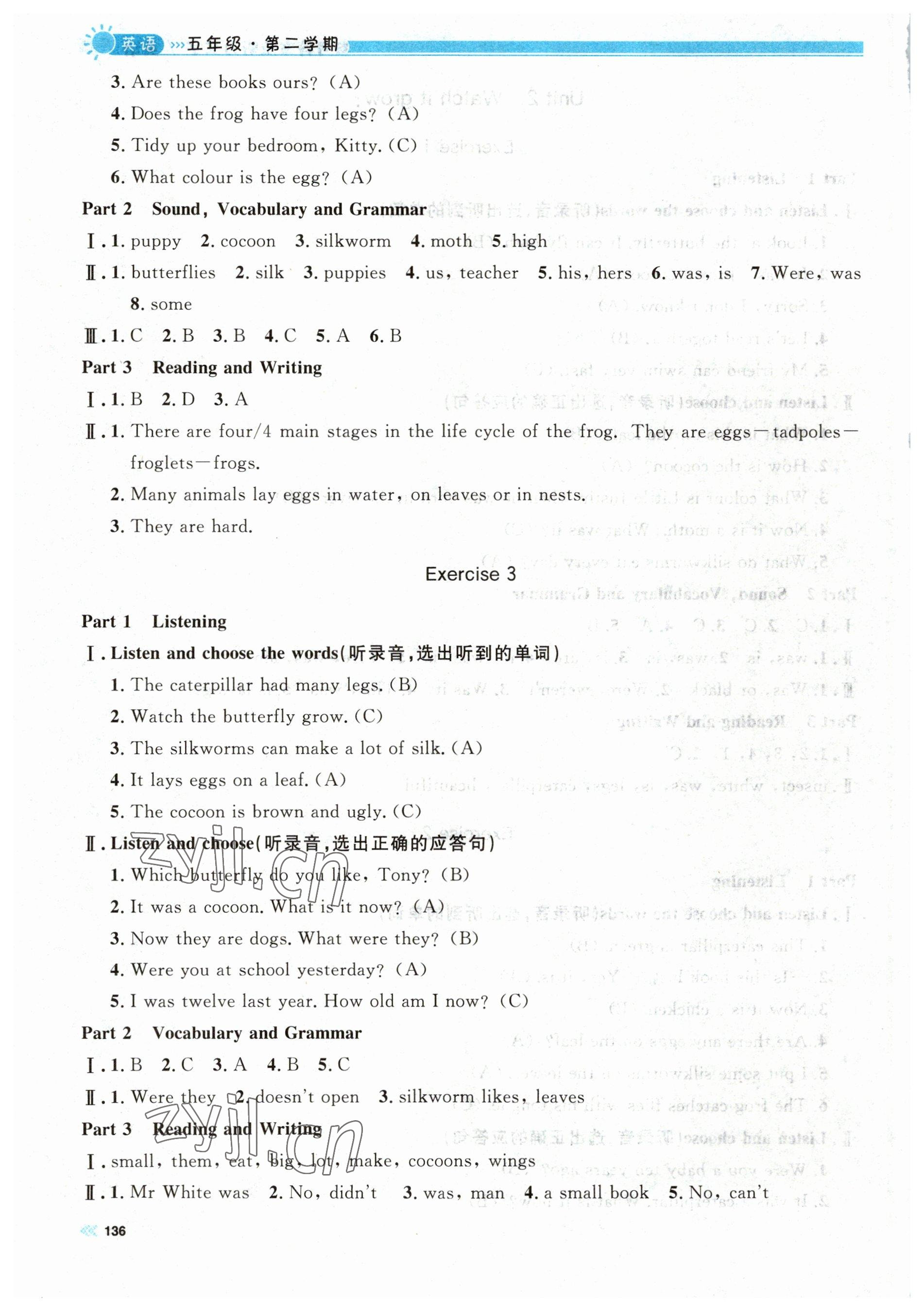 2023年上海作業(yè)五年級英語下冊滬教版五四制 第6頁