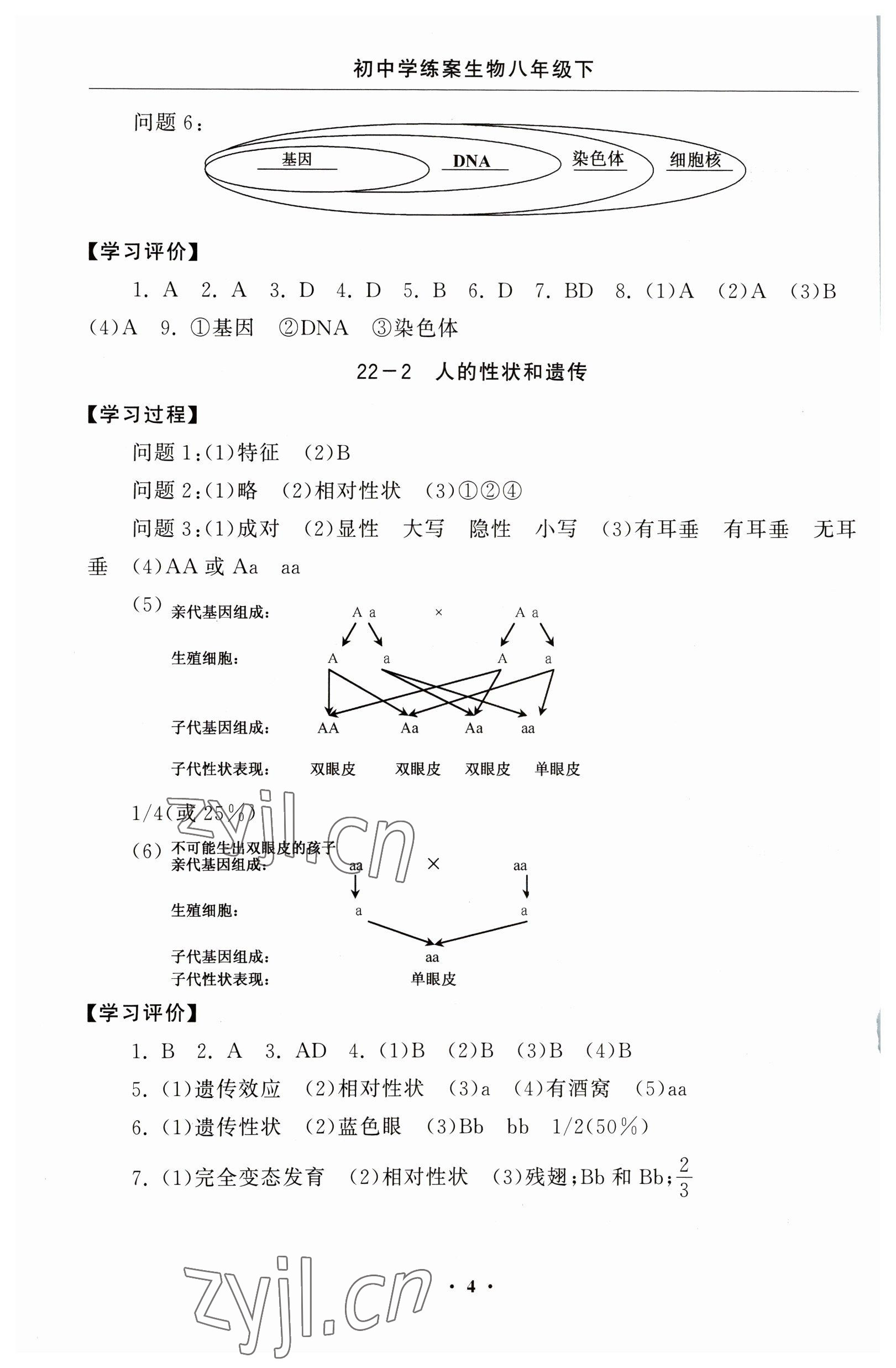 2023年初中學(xué)練案八年級生物下冊蘇教版 參考答案第4頁