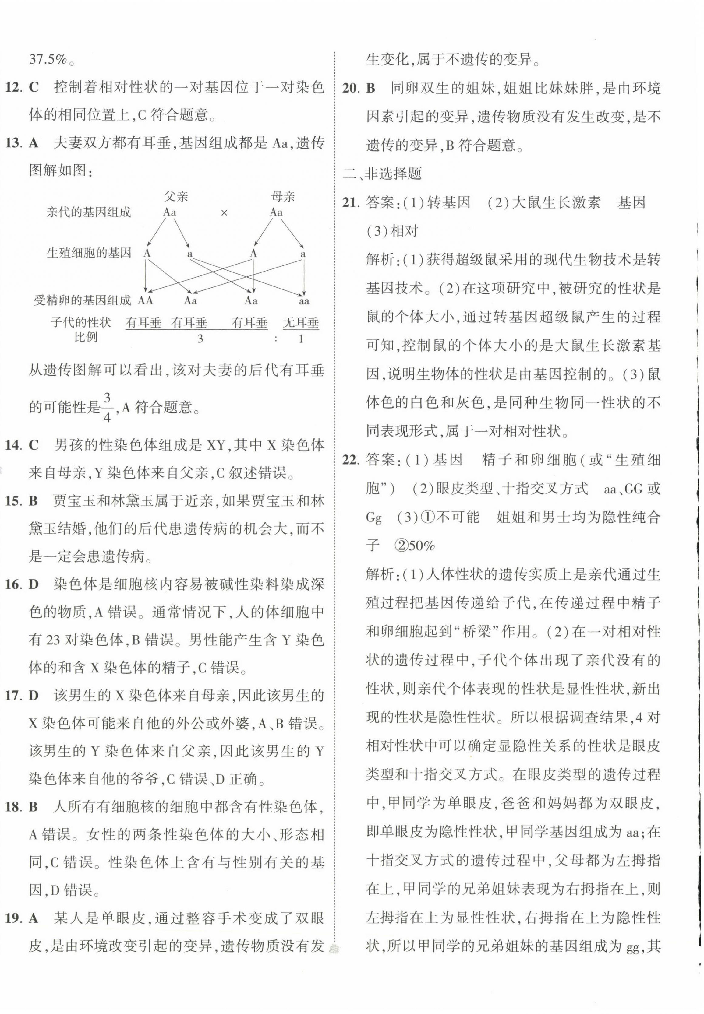 2023年5年中考3年模擬初中試卷八年級(jí)生物下冊(cè)人教版 第8頁