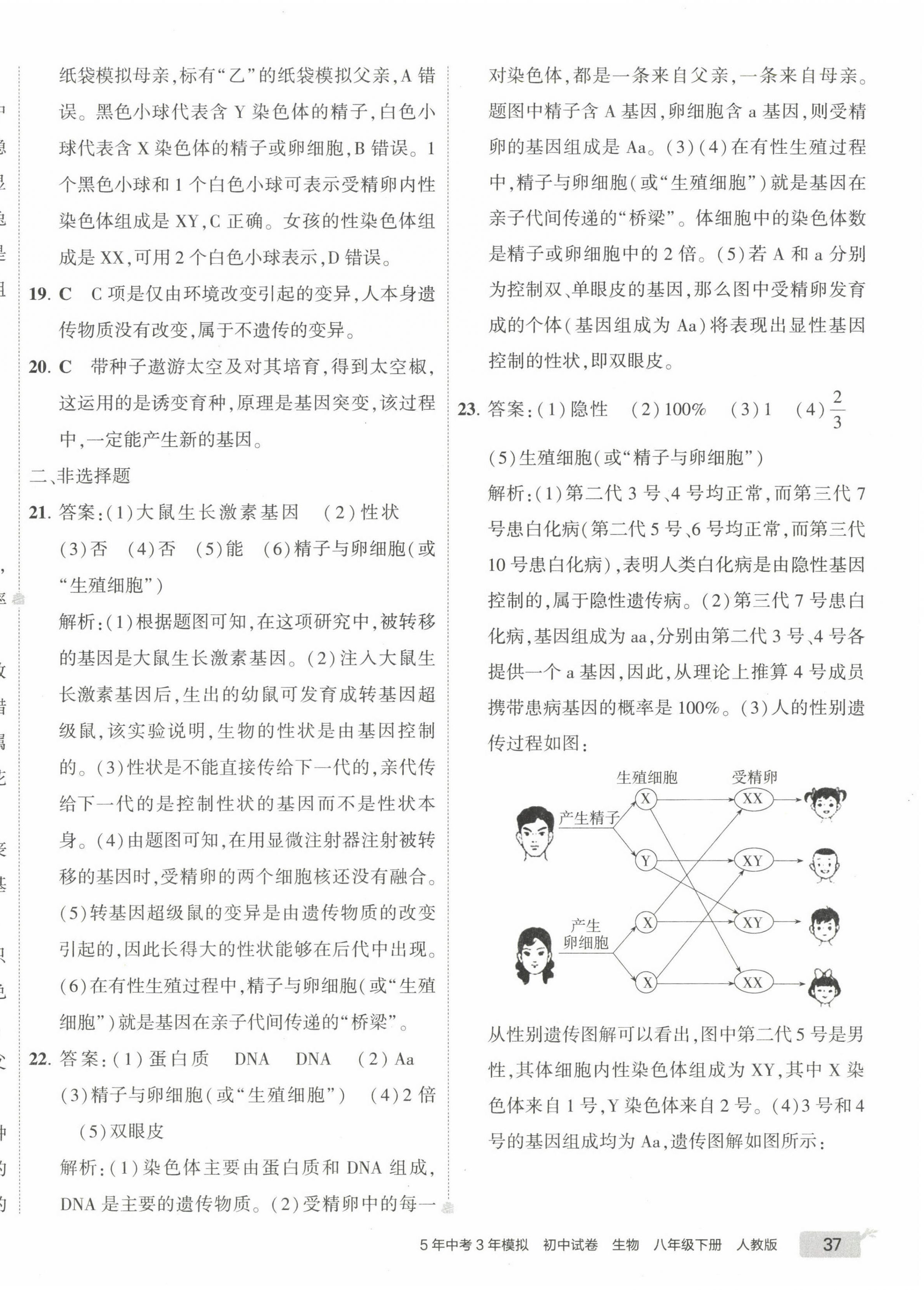 2023年5年中考3年模擬初中試卷八年級(jí)生物下冊人教版 第6頁