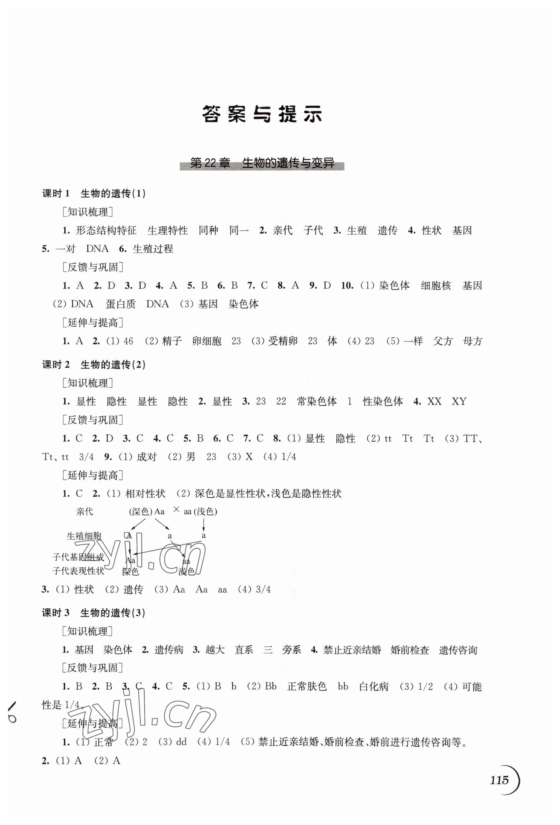 2023年同步練習(xí)江蘇八年級生物下冊蘇科版 第1頁