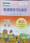 2023年新課程學(xué)習(xí)與測評同步學(xué)習(xí)六年級英語下冊人教版