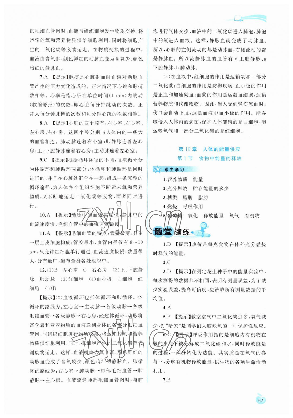 2023年新課程學(xué)習(xí)與測評同步學(xué)習(xí)七年級生物下冊北師大版 參考答案第4頁