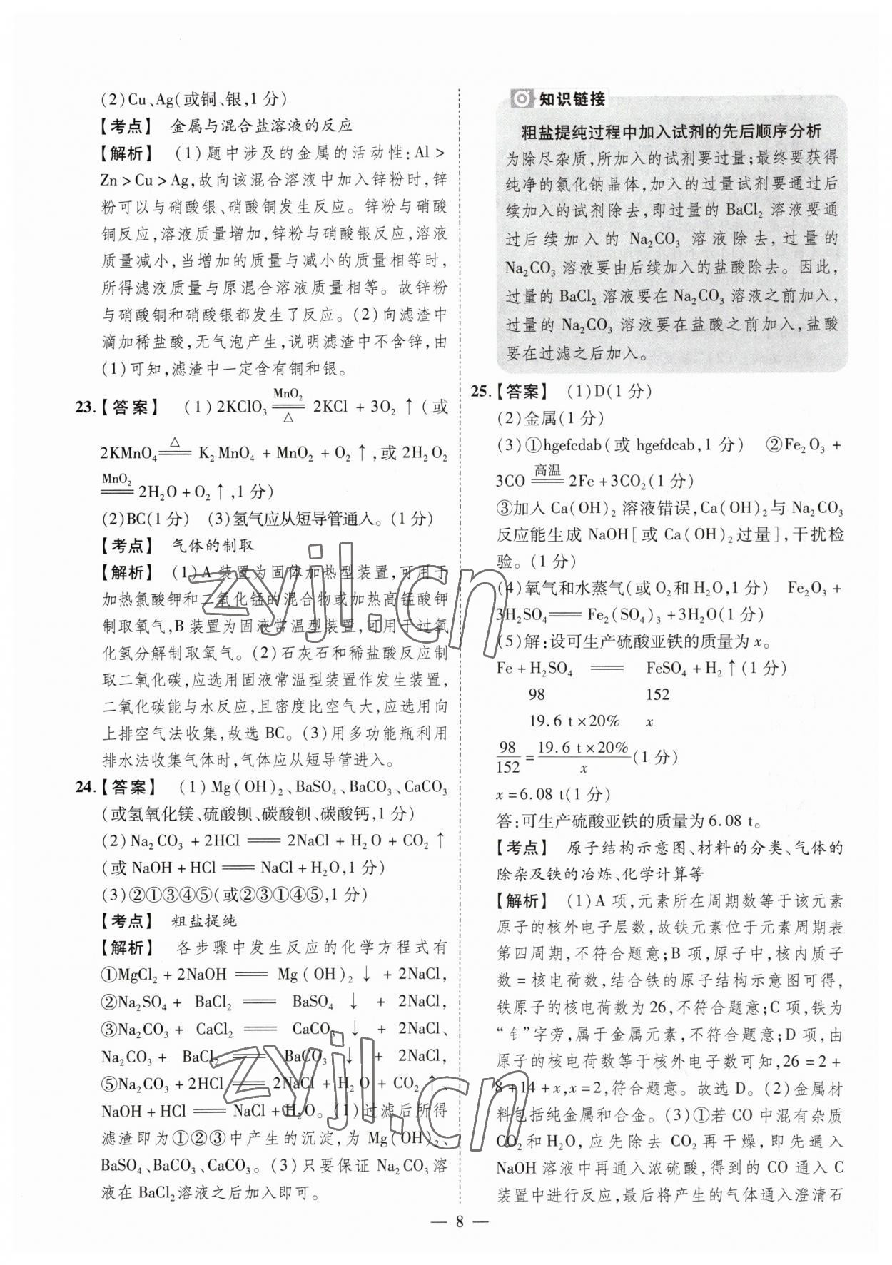 2023年原創(chuàng)仿真卷化學中考河南專版 參考答案第8頁