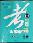 2023年考出好成绩中考总复习物理山东专版