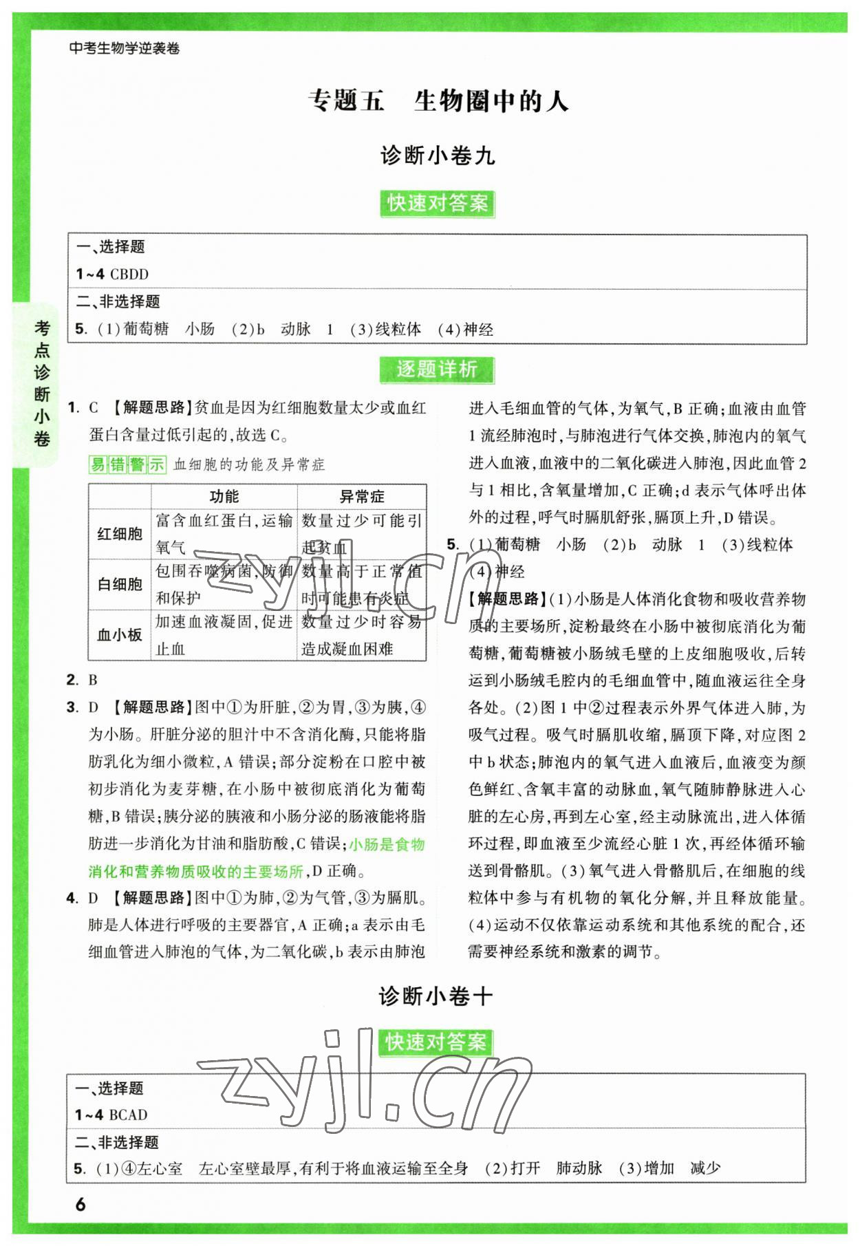 2023年万唯中考逆袭卷生物&nbsp;第6页