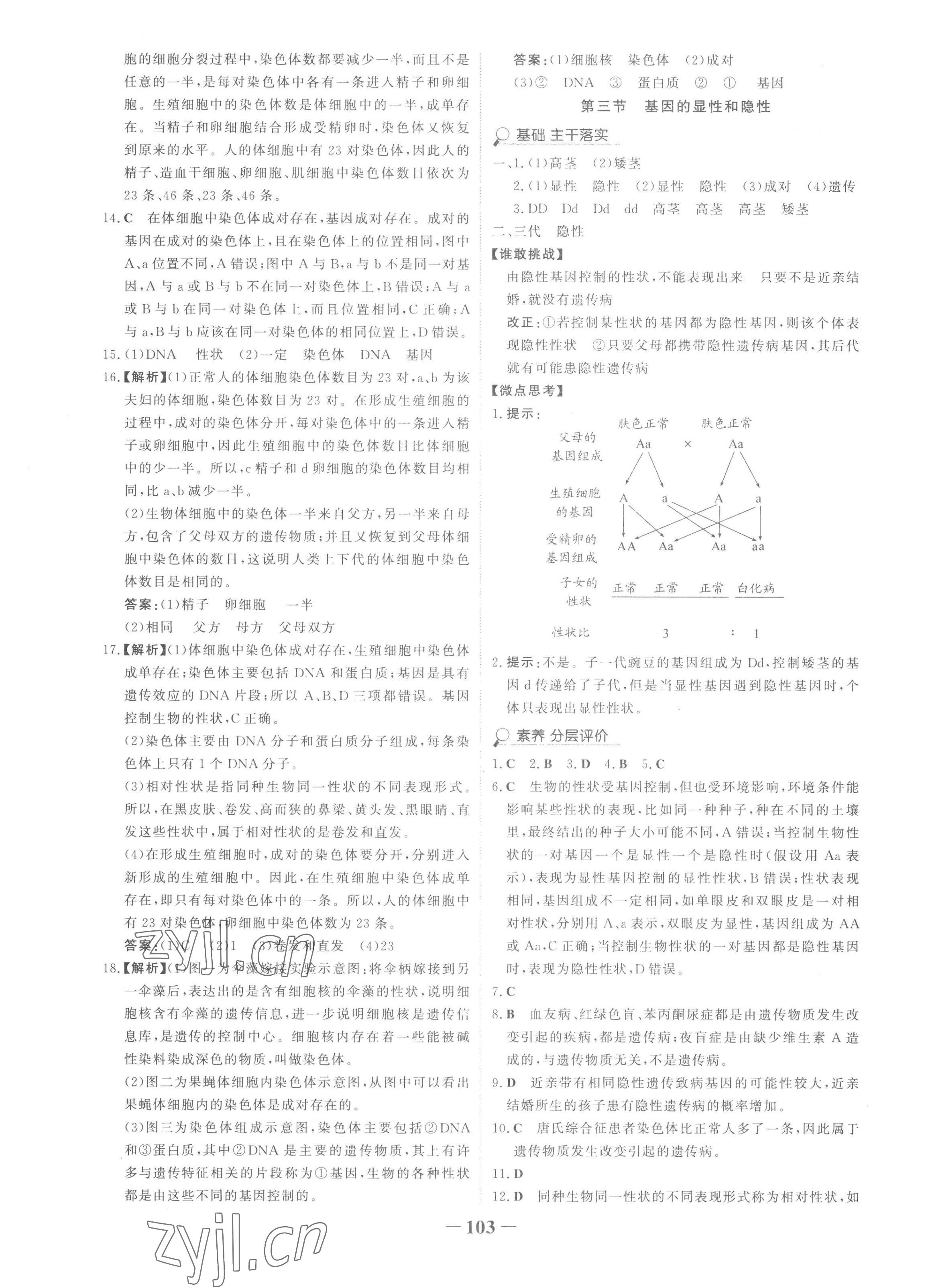 2023年世紀(jì)金榜金榜學(xué)案八年級生物下冊人教版 第7頁