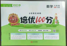 2023年王朝霞培优100分六年级数学下册人教版