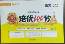 2023年王朝霞培優(yōu)100分六年級語文下冊人教版