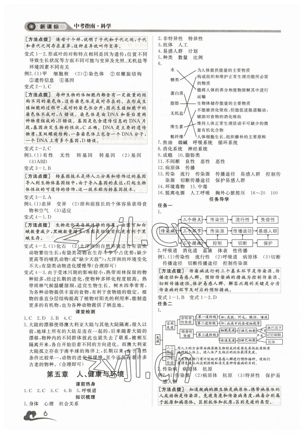 2023年中考指南浙江工商大學(xué)出版社科學(xué)溫州專版 參考答案第6頁