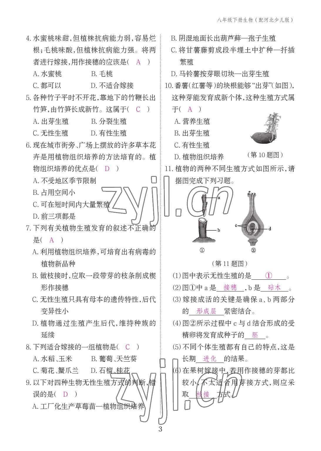 2023年作業(yè)本江西教育出版社八年級(jí)生物下冊(cè)冀少版 參考答案第3頁(yè)