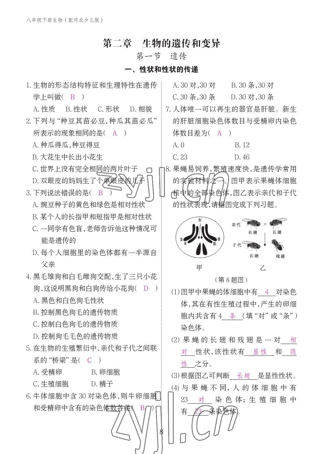 2023年作業(yè)本江西教育出版社八年級生物下冊冀少版 參考答案第8頁