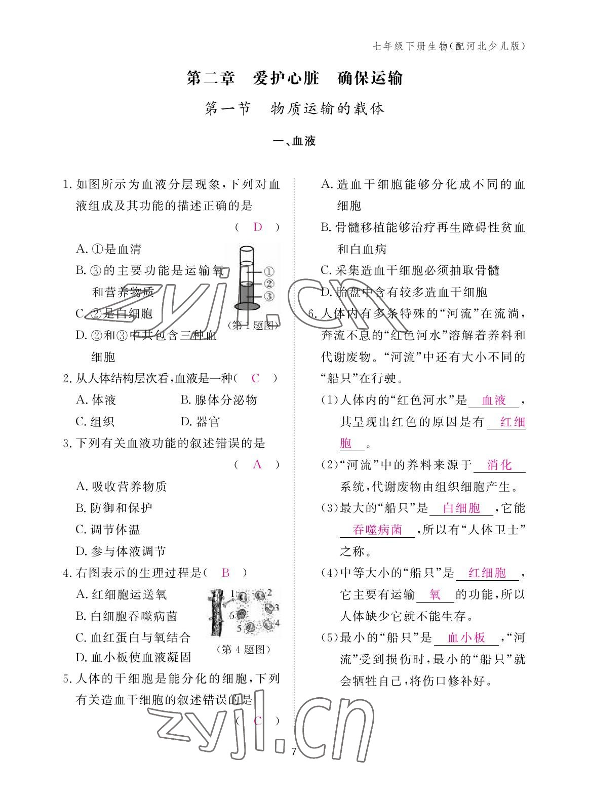 2023年作業(yè)本江西教育出版社七年級生物下冊冀少版 參考答案第7頁