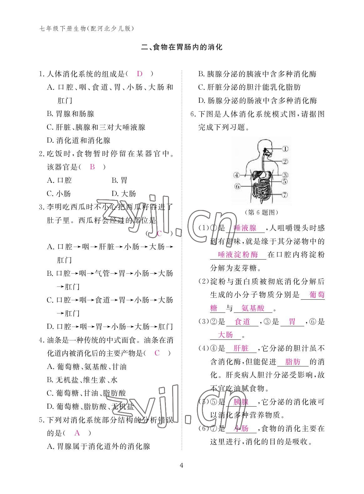 2023年作业本江西教育出版社七年级生物下册冀少版 参考答案第4页