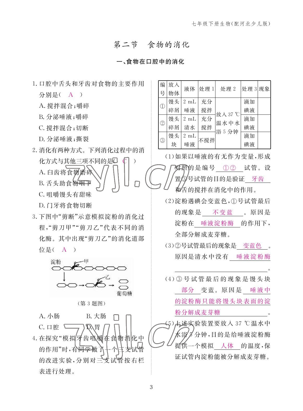 2023年作业本江西教育出版社七年级生物下册冀少版 参考答案第3页