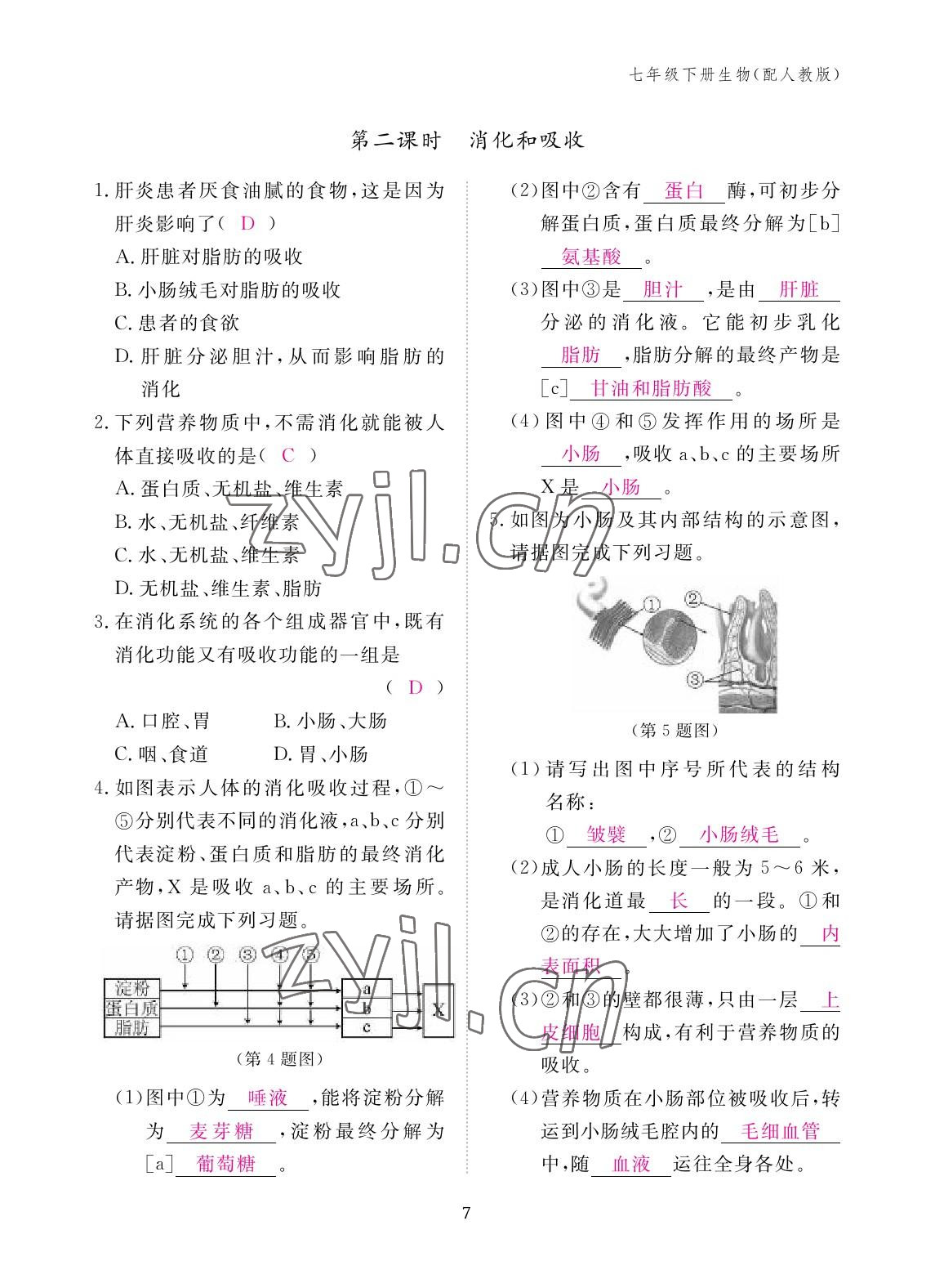 2023年作業(yè)本江西教育出版社七年級生物下冊人教版 參考答案第7頁