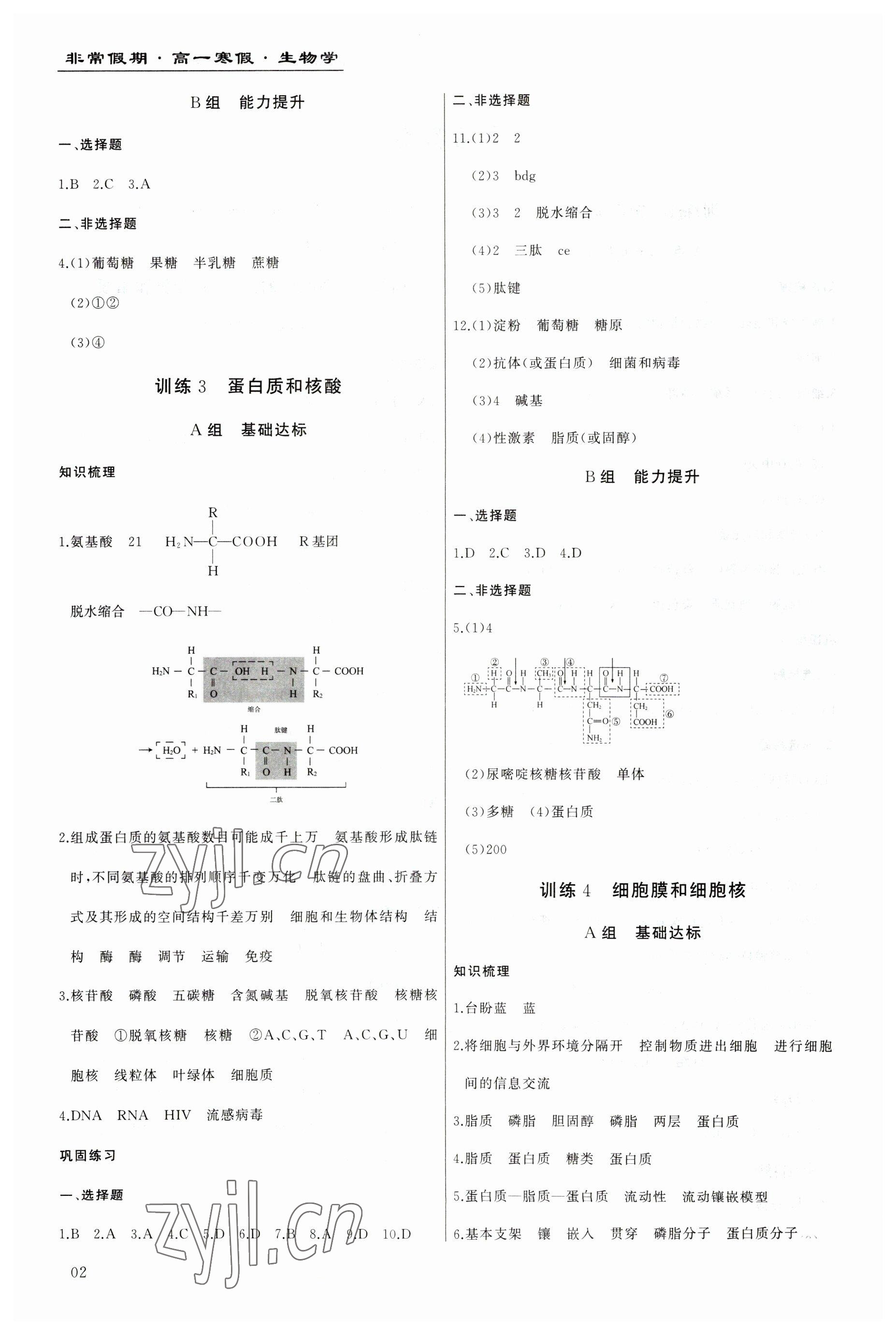 2023年非常假期南京出版社高一生物 第2页