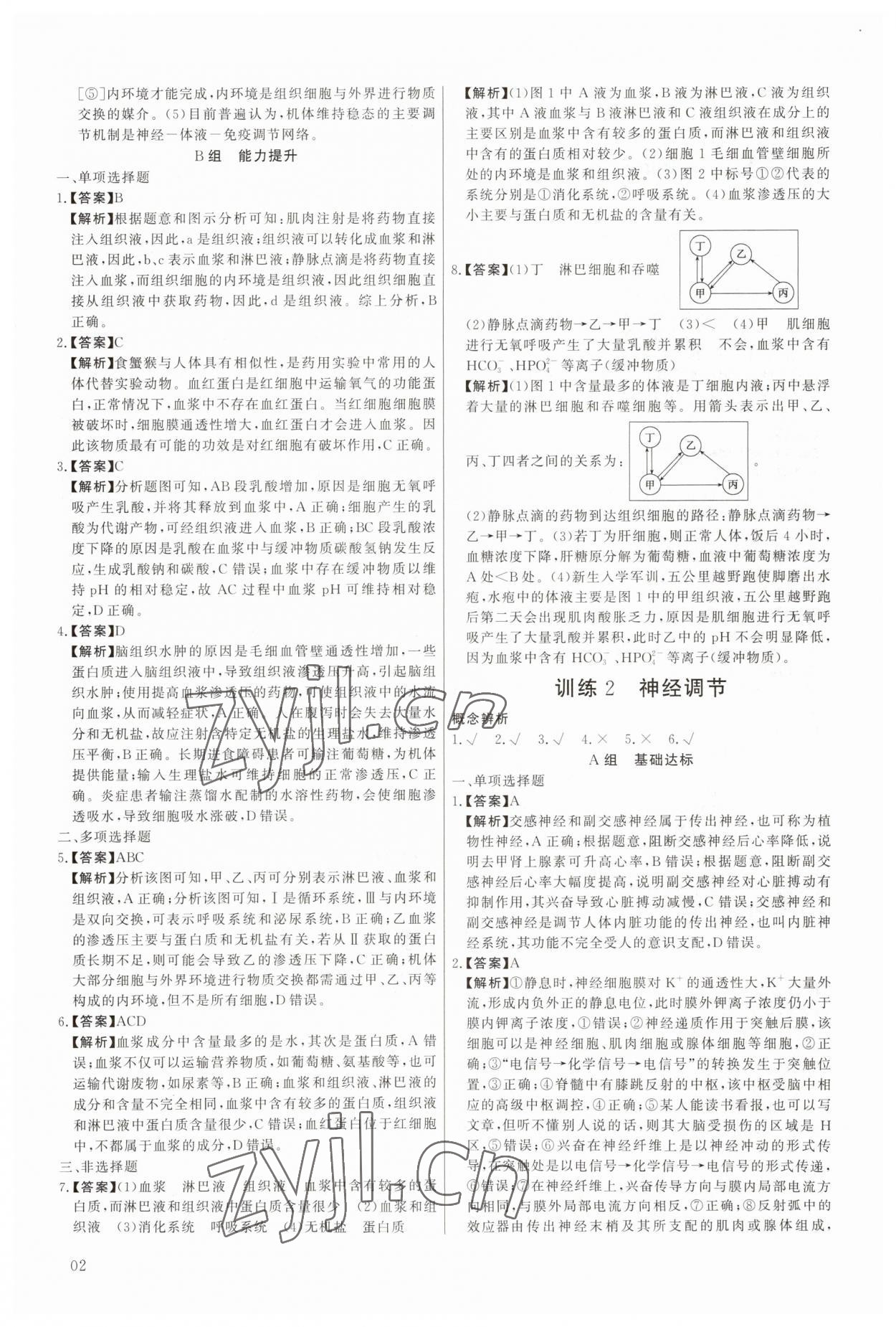 2023年非常假期南京出版社高二生物 第2页