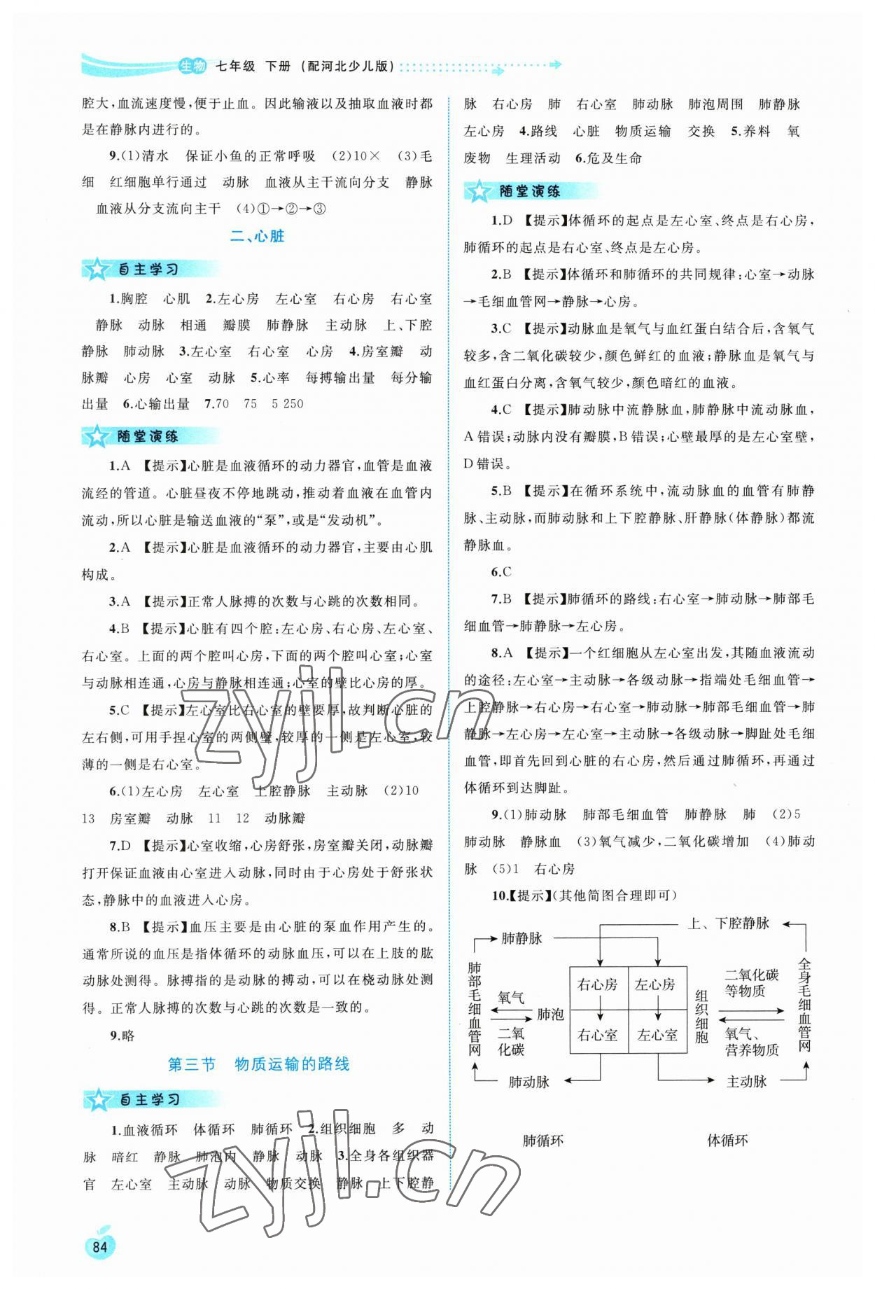 2023年新課程學習與測評同步學習七年級生物下冊冀少版 第4頁