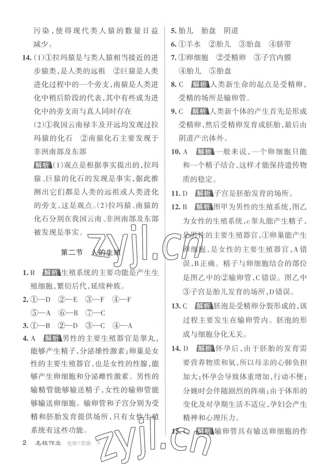 2023年名校作業七年級生物下冊人教版山西專版 參考答案第2頁