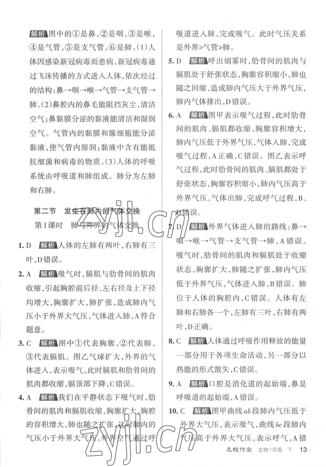 2023年名校作業七年級生物下冊人教版山西專版 參考答案第13頁