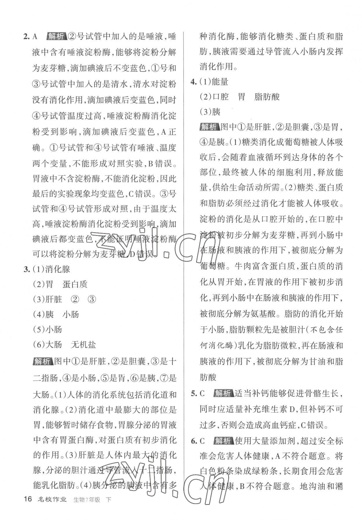 2023年名校作業七年級生物下冊人教版山西專版 參考答案第16頁
