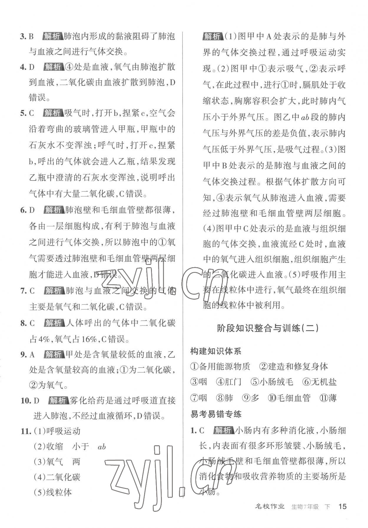 2023年名校作業七年級生物下冊人教版山西專版 參考答案第15頁