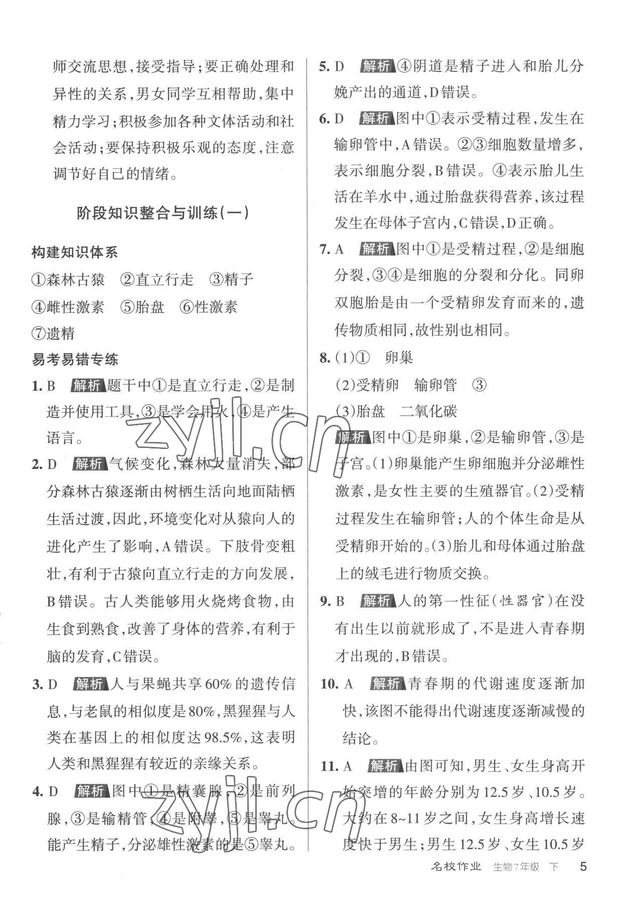 2023年名校作業七年級生物下冊人教版山西專版 參考答案第5頁