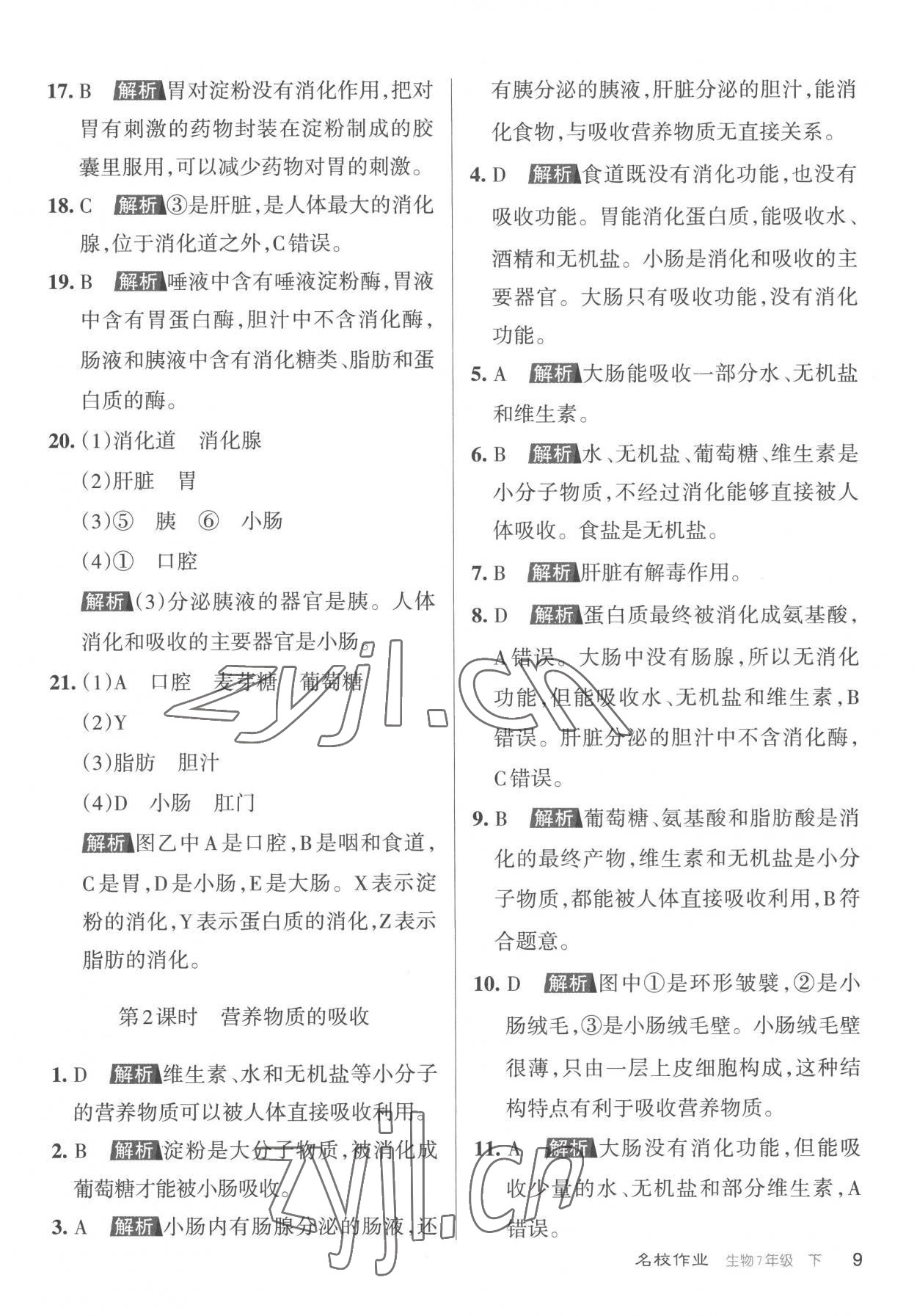 2023年名校作業七年級生物下冊人教版山西專版 參考答案第9頁