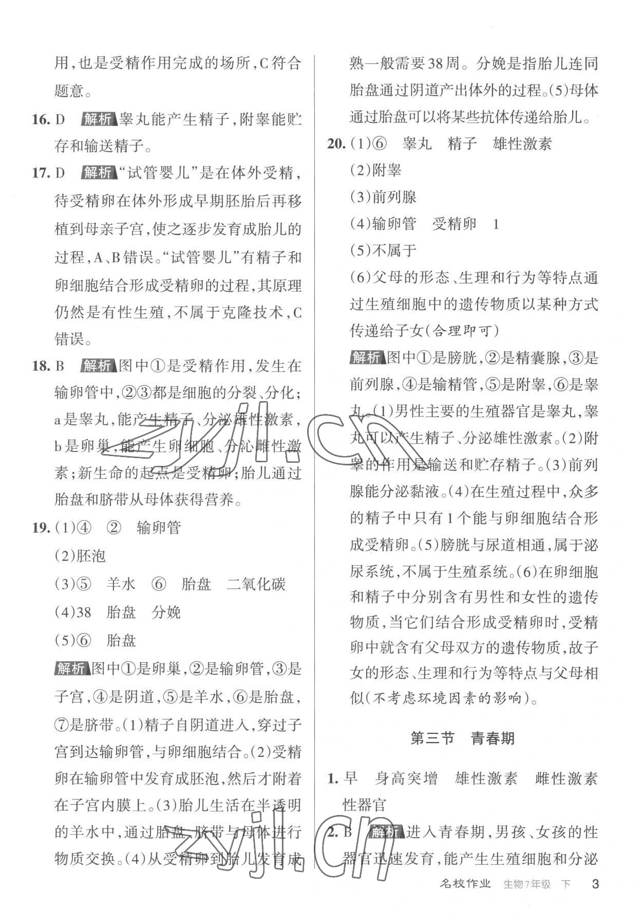 2023年名校作業七年級生物下冊人教版山西專版 參考答案第3頁